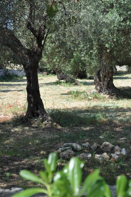 Masseria Costanza Putignano Buitenkant foto